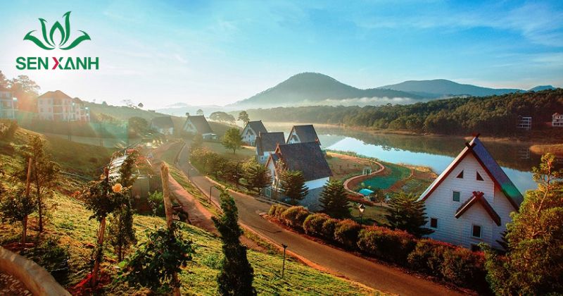 Hướng Dẫn Lựa Chọn Địa Điểm Tổ Chức Team Building 2026 Đà Lạt mang đến trải nghiệm team building trong không gian núi rừng mát mẻ.