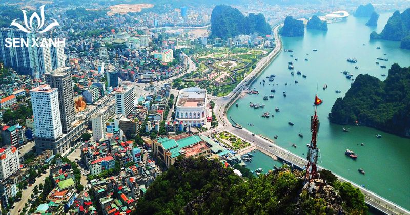 Hướng Dẫn Lựa Chọn Địa Điểm Tổ Chức Team Building 2026 Hạ Long không chỉ nổi tiếng với cảnh quan thiên nhiên kỳ vĩ mà còn là địa điểm lý tưởng để tổ chức team building