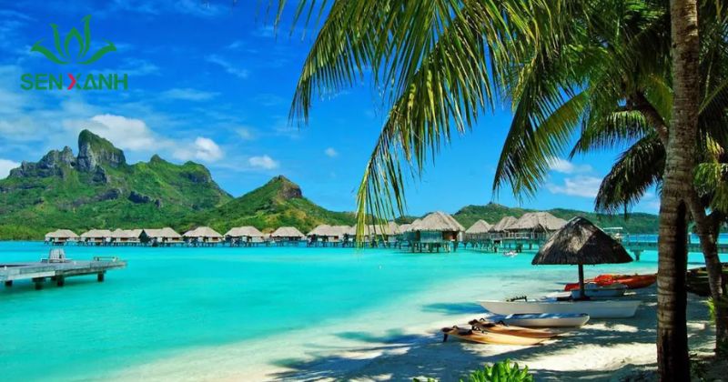 Hướng Dẫn Lựa Chọn Địa Điểm Tổ Chức Team Building 2026 Phú Quốc được ví như “đảo ngọc” của Việt Nam