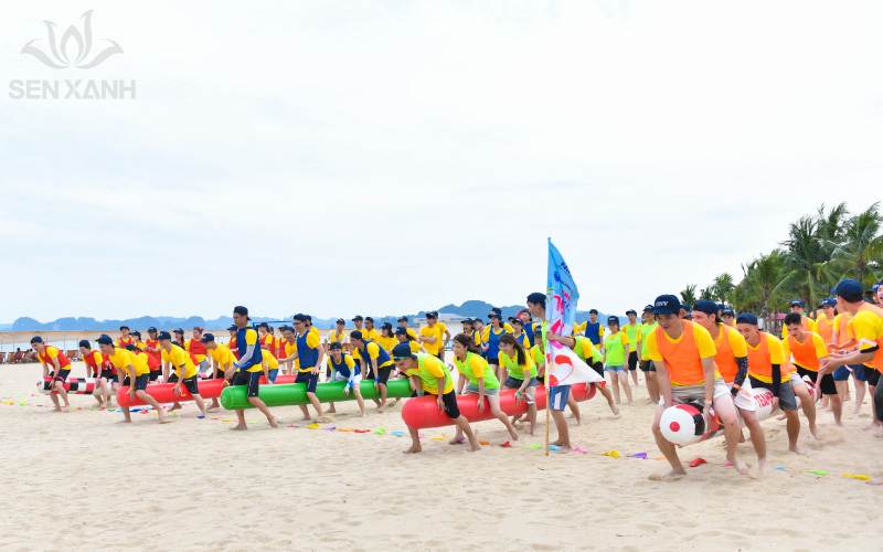 Hãy chọn các hoạt động Team Building hợp lý