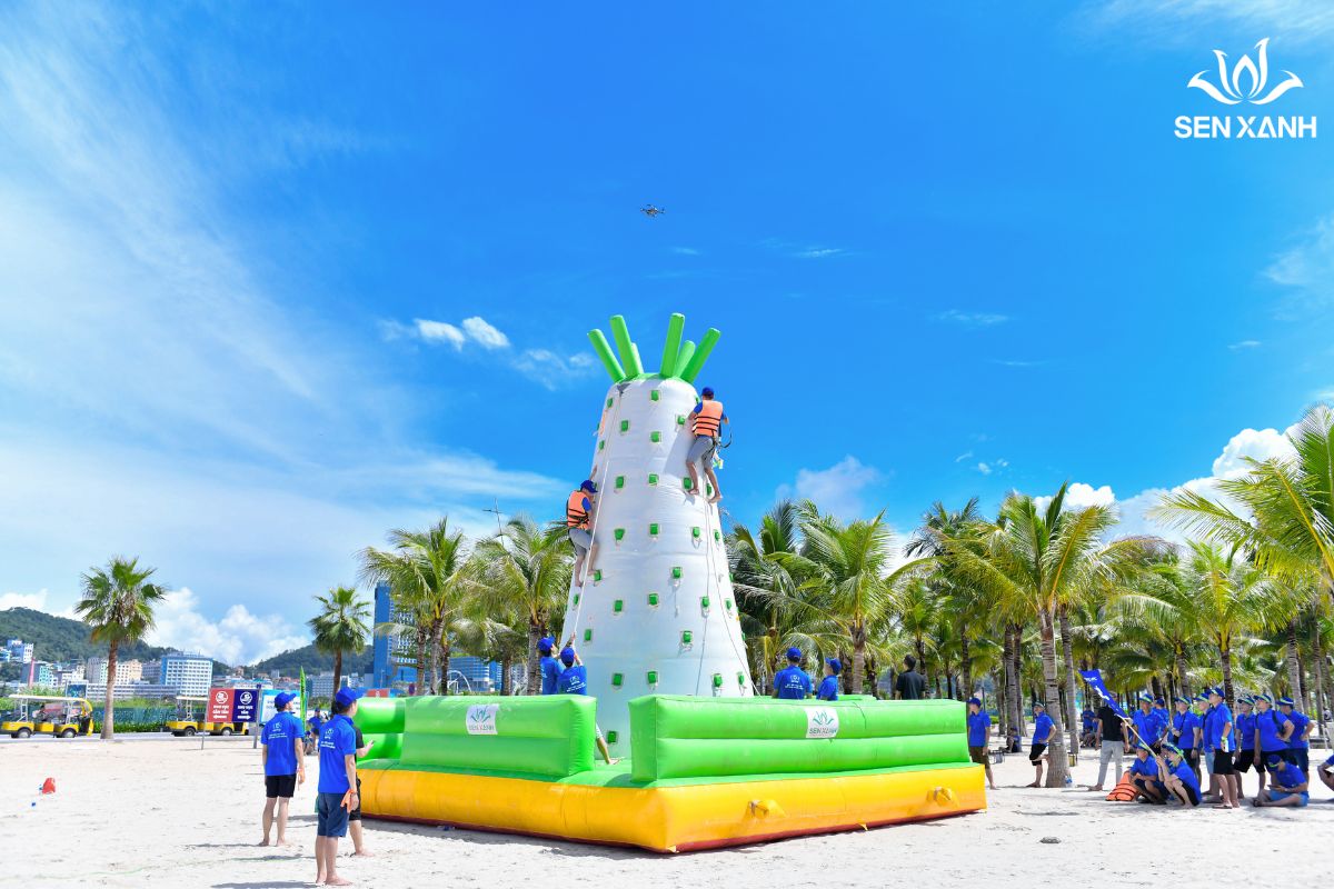 Team Building Là Gì? Ý Nghĩa, Lợi Ích Và Các Loại Hình Phổ Biến Nhất hoạt động team building bãi biển