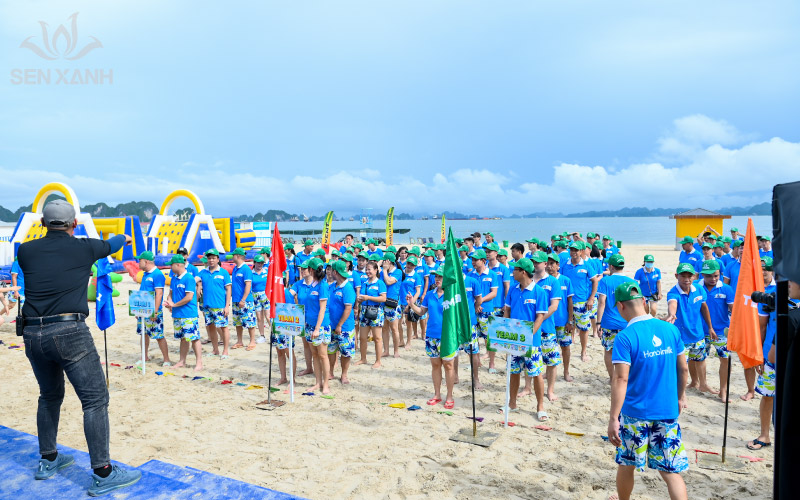 C&aacute;c hoạt động tr&ograve; chơi giải tr&iacute; được Sen Xanh thiết kế vui nhộn v&agrave; mang t&iacute;nh gắn kết cao