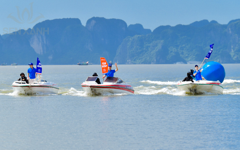 C&aacute;c hoạt động thể chất được Sen Xanh ch&uacute; trọng về tổ chức dụng cụ v&agrave; hỗ trợ t&iacute;nh an to&agrave;n