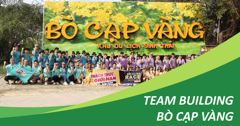 team building bò cạp vàng