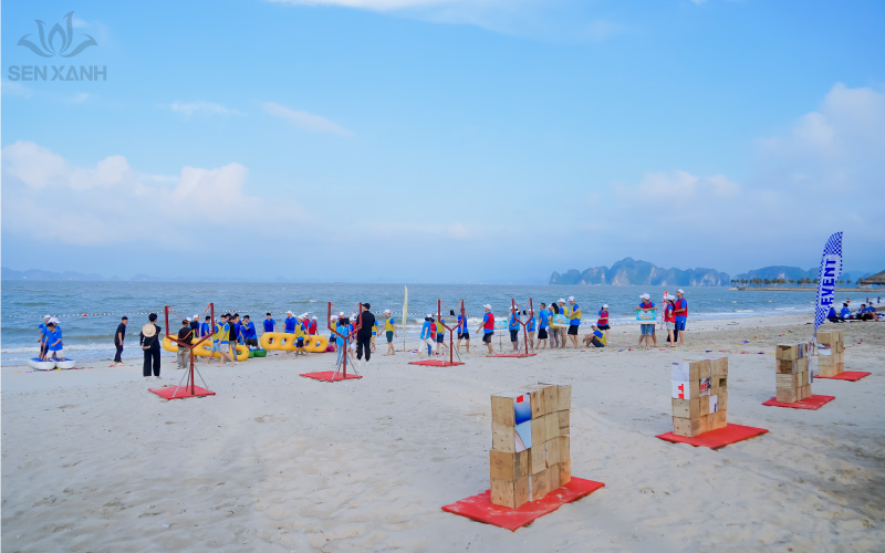 Sen Xanh triển khai nhiều hoạt động Team Building tr&ecirc;n b&atilde;i biển th&uacute; vị, gắn kết tinh thần đo&agrave;n kết