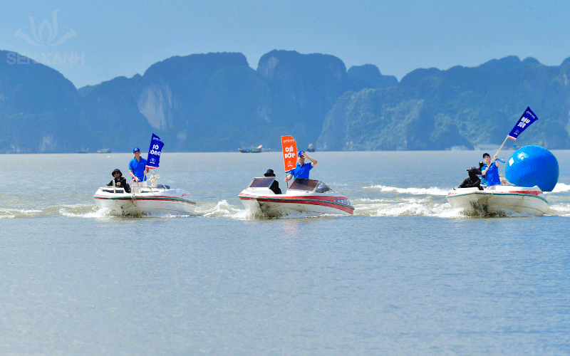 Tổ chức tour du lịch h&egrave; c&ocirc;ng ty tại Vịnh Hạ Long