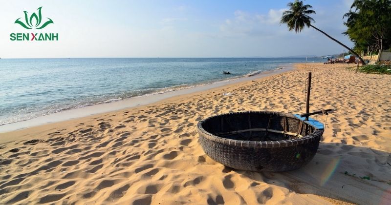 Biển Hồ Cốc l&agrave; một trong những địa điểm teambuilding l&yacute; tưởng tại Vũng T&agrave;u