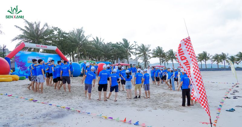 Top 10+ trò chơi Team building dưới nước hay nhất năm 2026 trò chơi tăng sự hào hứng, khơi dậy tinh thần phiêu lưu, khám phá và giải mã trong tập thể.