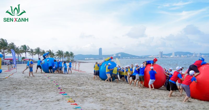 Chơi tr&ograve; chơi b&oacute;ng n&eacute;m