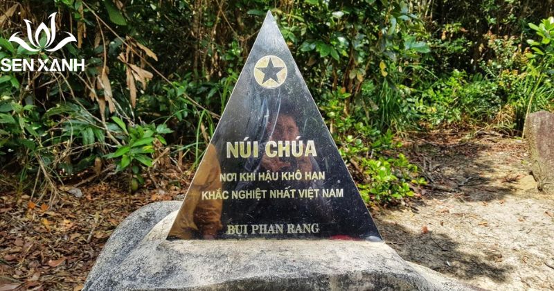 Top những địa điểm team building Côn Đảo hấp dẫn Núi Chúa – đỉnh núi cao nhất tại Côn Đảo