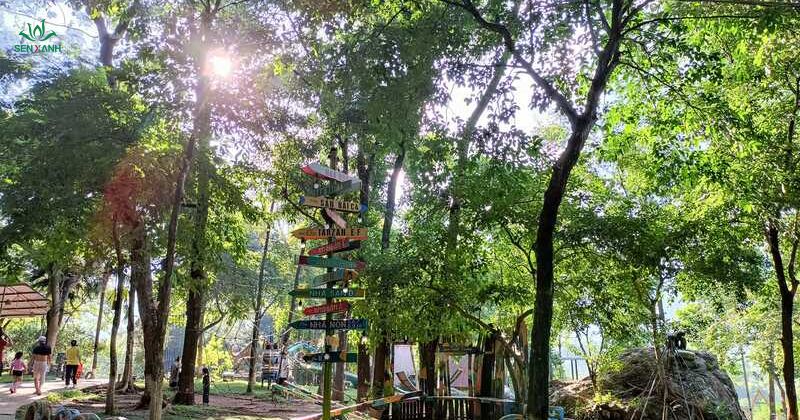 Sơn Tinh Camp l&agrave; địa điểm nổi bật nhất khi nhắc đến team building cắm trại tại Ba V&igrave;