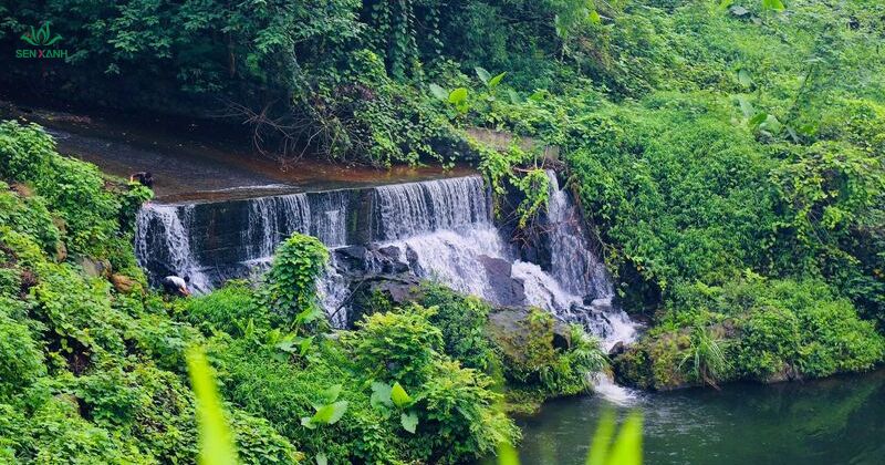 Th&aacute;c Đa l&agrave; khu du lịch sinh th&aacute;i nằm trong v&ugrave;ng đồi n&uacute;i hoang sơ, nổi bật với hệ thống th&aacute;c nước tự nhi&ecirc;n
