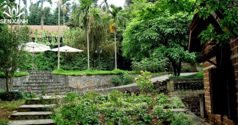 Trang trại đồng qu&ecirc; Ba V&igrave;