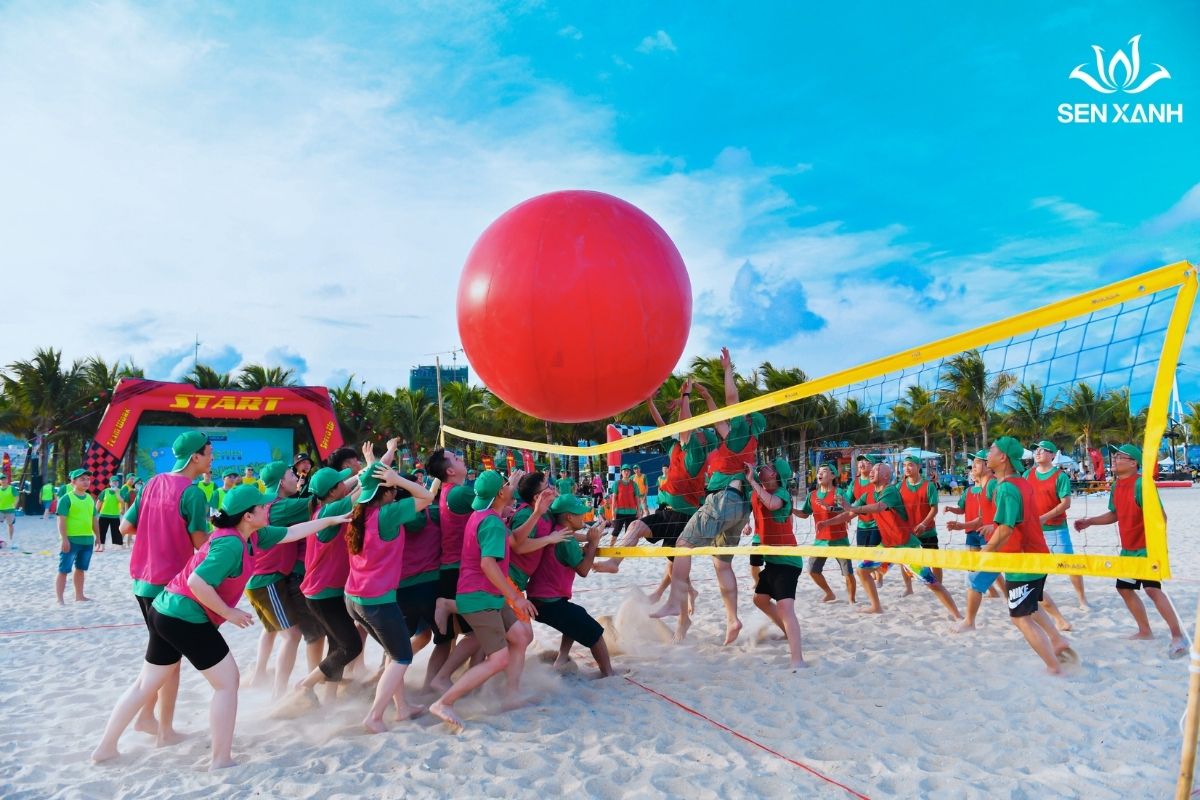 Trò chơi bóng chuyền khổng lồ Teambuilding Green Group 2023