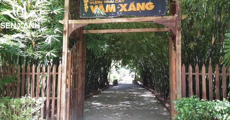 Vườn trái cây Vàm Xáng nằm ở huyện Phong Điền