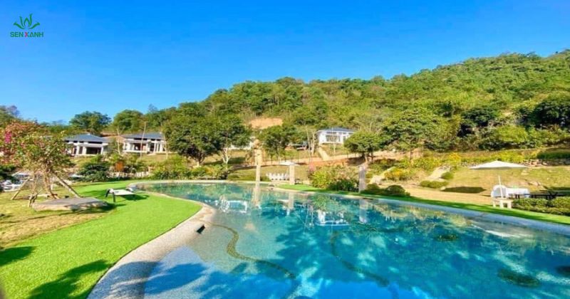 Zen Resort & Camping l&agrave; khu nghỉ dưỡng kết hợp cắm trại mang đậm phong c&aacute;ch thiền v&agrave; tự nhi&ecirc;n
