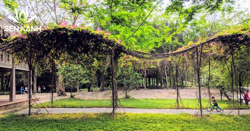 C&ocirc;ng vi&ecirc;n M&ugrave;a Hạ c&oacute; kh&ocirc;ng gian thi&ecirc;n nhi&ecirc;n xanh m&aacute;t với nhiều b&oacute;ng c&acirc;y r&acirc;m m&aacute;t