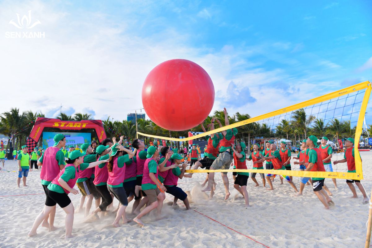 Team building Green Group 2023 Sen Xanh