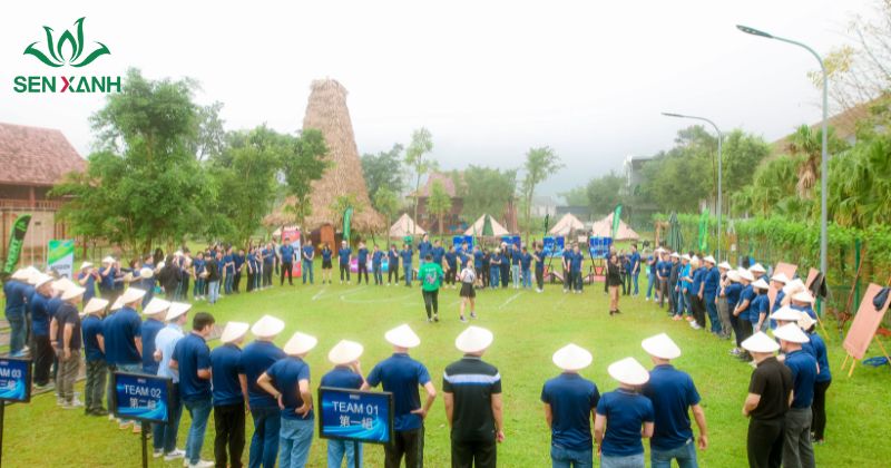 Tổ chức c&aacute;c tr&ograve; chơi team building ngo&agrave;i trời