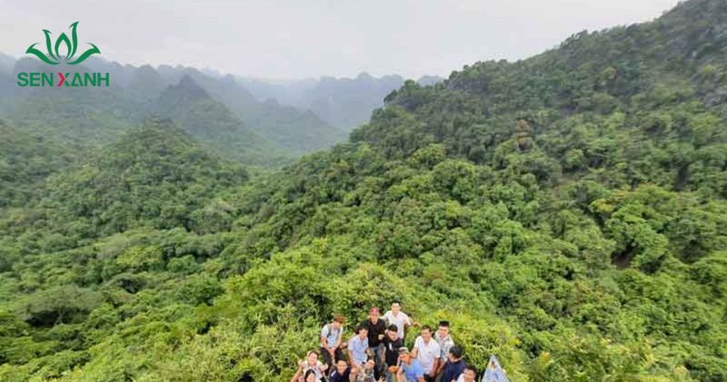Lịch trình team building 2 ngày 1 đêm Tham gia team building 2 ngày 1 đêm