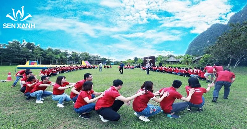 Tổ chức teambuilding resort: Địa điểm, trò chơi, kịch bản chi tiết Chơi trò chơi tập thể