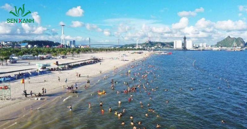 B&atilde;i biển B&atilde;i Ch&aacute;y sở hữu kh&ocirc;ng gian rộng r&atilde;i, bờ c&aacute;t phẳng mịn k&eacute;o d&agrave;i h&agrave;ng trăm m&eacute;t