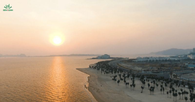 B&atilde;i Ch&aacute;y &ndash; thuộc th&agrave;nh phố Hạ Long (Quảng Ninh) &ndash; l&agrave; một trong những địa điểm du lịch nổi tiếng