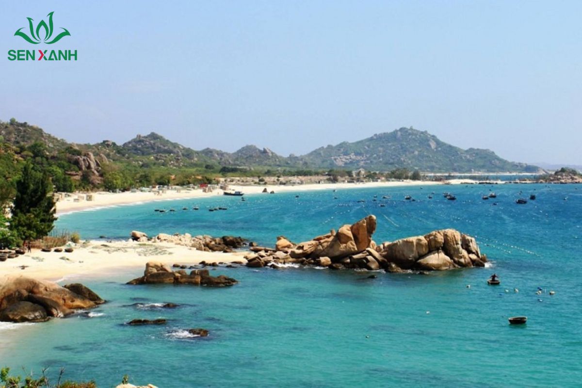 B&atilde;i tắm Ngọc Vừng nằm tr&ecirc;n đảo Ngọc Vừng &ndash; một h&ograve;n đảo c&ograve;n kh&aacute; hoang sơ của Quảng Ninh