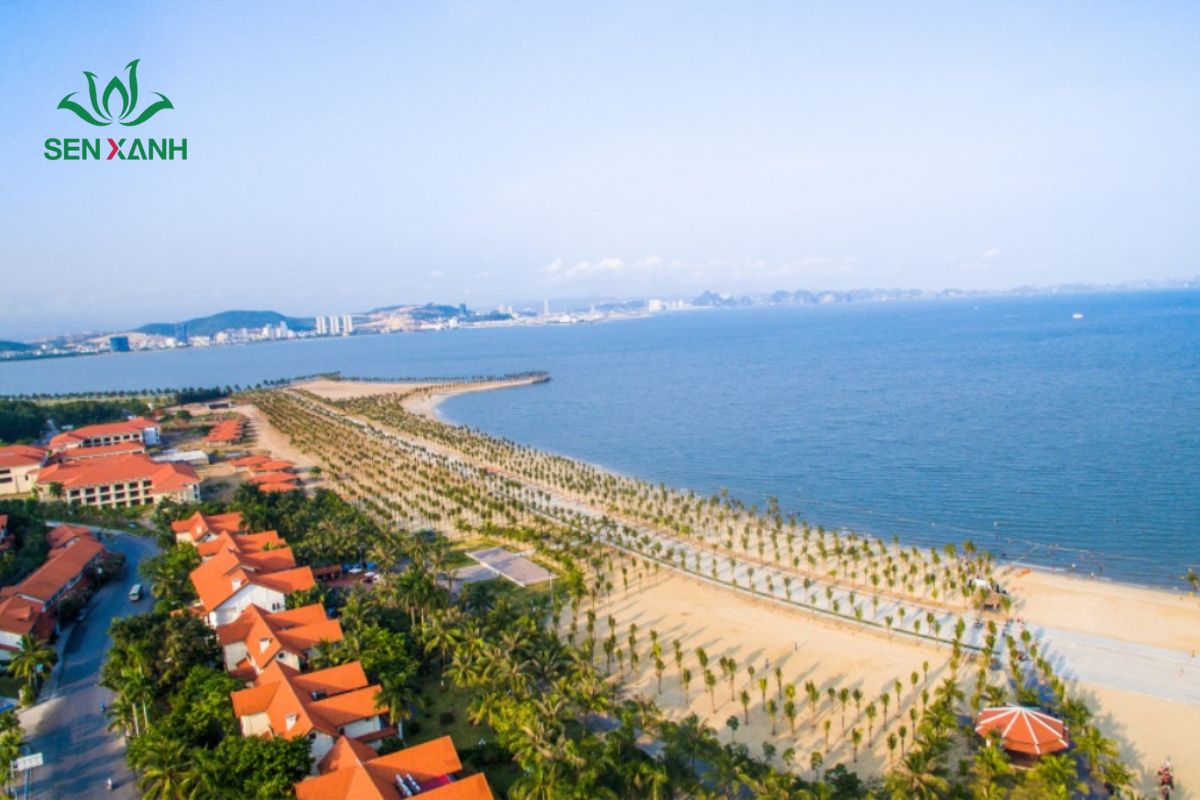 B&atilde;i tắm Tuần Ch&acirc;u nằm tr&ecirc;n đảo Tuần Ch&acirc;u, chỉ c&aacute;ch trung t&acirc;m th&agrave;nh phố Hạ Long khoảng 10 km
