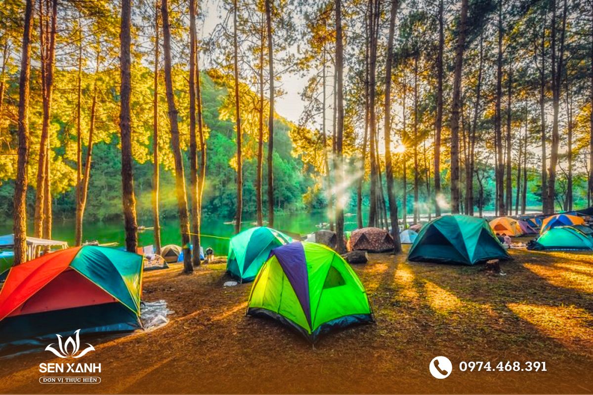 Khu dã ngoại Sơn Tinh camp Khu dã ngoại Sơn Tinh camp