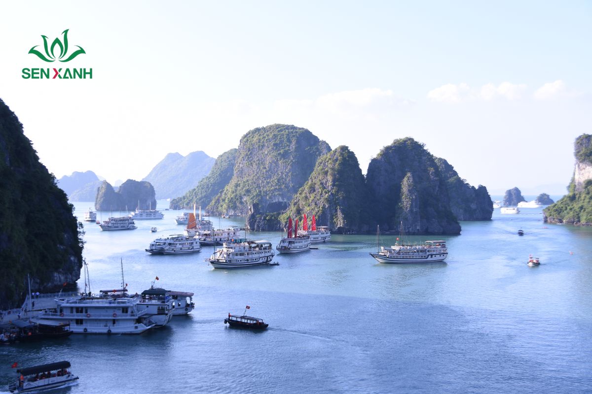 Quảng Ninh l&agrave; một trong những địa điểm th&iacute;ch hợp để tổ chức c&aacute;c chương tr&igrave;nh du lịch kết hợp team building