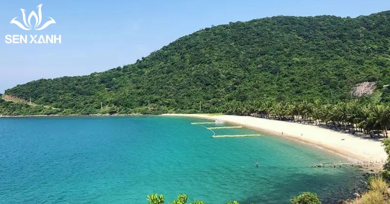 Top những địa điểm tổ chức team building hấp dẫn tại Hội An Bãi biển An Bàng nổi tiếng với vẻ đẹp hoang sơ, bãi cát trắng mịn và không gian thoáng đãng