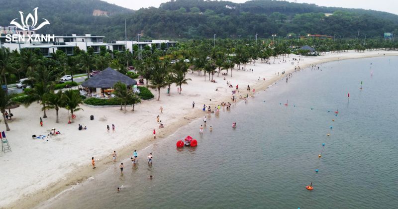 10 địa điểm tổ chức team building tại Hải Phòng cực hot năm 2026 Bãi biển Đồ Sơn từ lâu đã là địa điểm quen thuộc để tổ chức team building tại Hải Phòng nhờ diện tích rộng