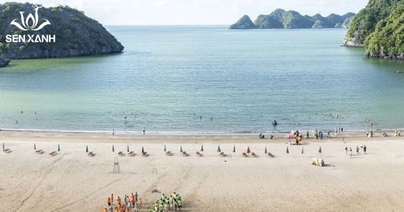 10 địa điểm tổ chức team building tại Hải Phòng cực hot năm 2026 Bãi biển Tùng Thu nổi bật với không gian mới mẻ, sạch đẹp và được quy hoạch bài bản