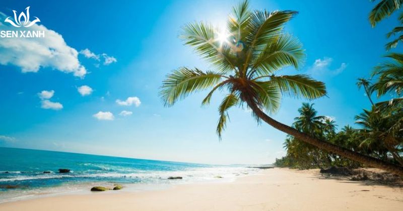 B&atilde;i Rạng Mũi N&eacute; được xem l&agrave; một trong những b&atilde;i biển đẹp v&agrave; sạch nhất khu vực