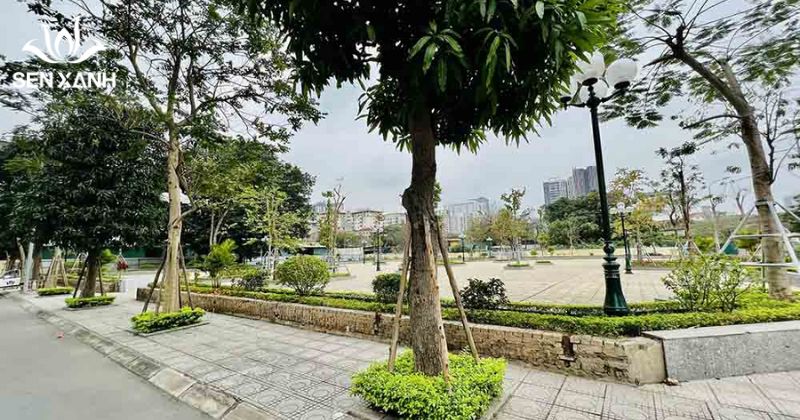 Khám phá 10+ địa điểm tổ chức team building ngoài trời tại Hà Nội Công viên Đống Đa phù hợp cho các nhóm nhỏ, các hoạt động giao lưu nội bộ