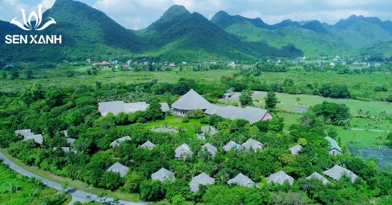 Top 20+ địa điểm tổ chức team building miền bắc hấp dẫn Cúc Phương Resort nằm gần Vườn Quốc gia Cúc Phương, sở hữu không gian xanh mát và khí hậu trong lành.