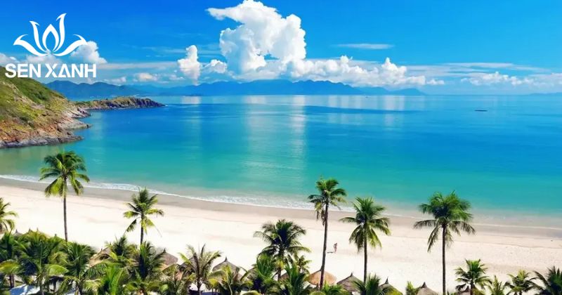 Top 10+ địa điểm tổ chức team building Tại Đà Nẵng hấp dẫn Bãi biển Mỹ Khê có bãi cát dài, bằng phẳng, không gian rộng và sóng biển vừa phải