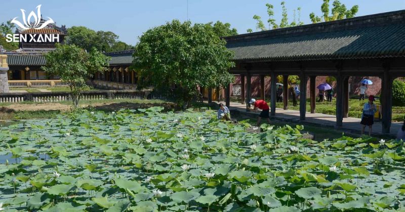 L&agrave;ng cổ Phước T&iacute;ch rất ph&ugrave; hợp cho c&aacute;c chương tr&igrave;nh team building nhẹ nh&agrave;ng