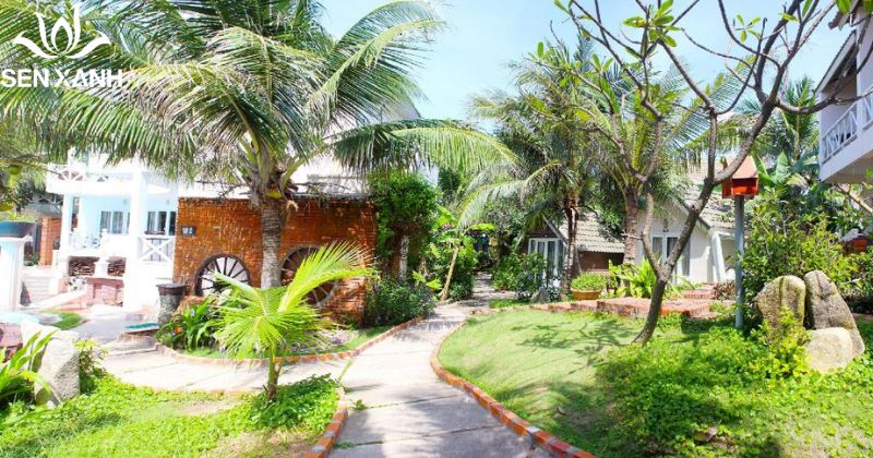 Mũi N&eacute; Paradise Resort l&agrave; một trong những resort được nhiều đo&agrave;n team building lựa chọn