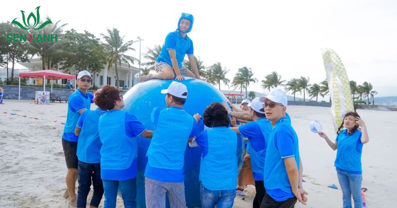 Review Tour 1 ngày coco beach team building Tham gia trò chơi trên biển