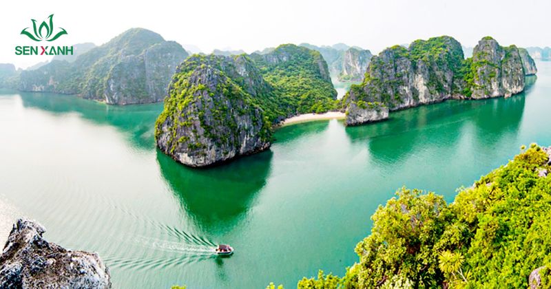 Top 6+ địa điểm tổ chức Amazing Race hấp dẫn Quảng Ninh, đặc biệt là khu vực Hạ Long và Bãi Cháy, là điểm đến lý tưởng cho Amazing Race phong cách biển đảo