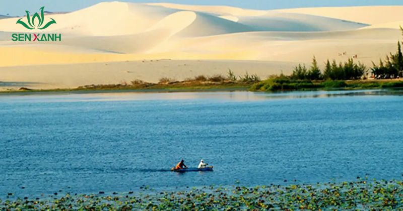 Gợi ý 6+ địa điểm tổ chức Team Building Phan Thiết được yêu thích Bàu Trắng mang vẻ đẹp hoang sơ và yên bình, là sự kết hợp độc đáo giữa hồ nước ngọt rộng lớn và những đồi cát trắng mênh mông