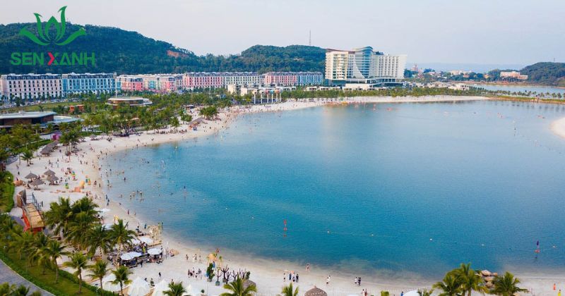 15+ bãi biển tổ chức team building nổi tiếng nhất Đồ Sơn là bãi biển quen thuộc với nhiều doanh nghiệp khu vực Hà Nội và các tỉnh lân cận nhờ khoảng cách di chuyển ngắn.