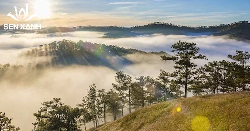 Đồi Đa Ph&uacute; nổi tiếng với kh&ocirc;ng gian tho&aacute;ng, đồi cỏ tự nhi&ecirc;n v&agrave; tầm nh&igrave;n đẹp.