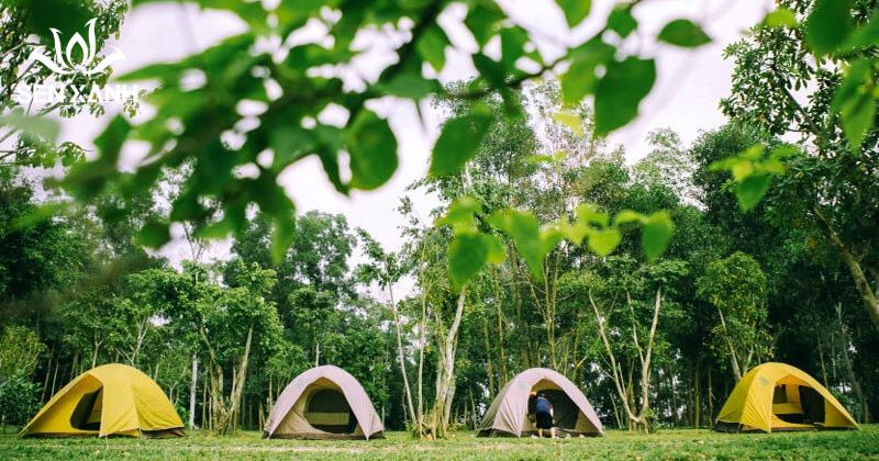 10+ địa điểm tổ chức team building cho nhóm nhỏ cực hấp dẫn Nông trại Đồng Mô mang đến không gian xanh, thoáng đãng và gần gũi thiên nhiên.