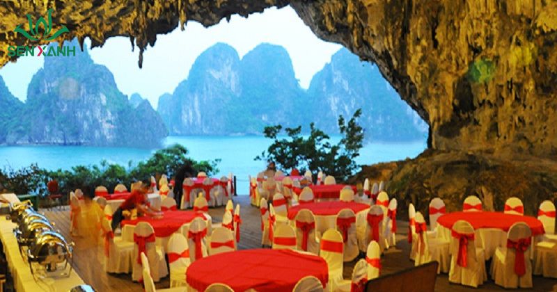 Du lịch mice ở địa điểm rộng r&atilde;i
