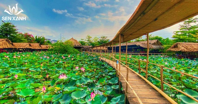 C&aacute;c khu sinh th&aacute;i, khu d&atilde; ngoại gần TP.HCM l&agrave; lựa chọn ph&ugrave; hợp cho chương tr&igrave;nh team building