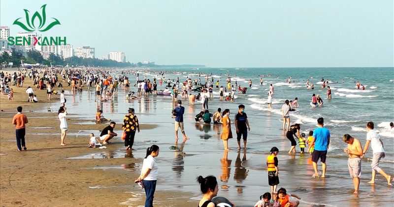 15+ bãi biển tổ chức team building nổi tiếng nhất Sầm Sơn là một trong những bãi biển lâu đời và nổi tiếng nhất miền Bắc