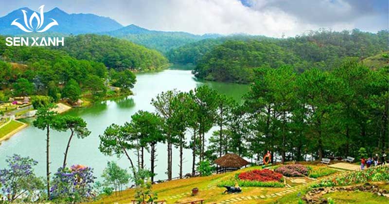 Thung Lũng V&agrave;ng sở hữu cảnh quan h&agrave;i h&ograve;a giữa rừng th&ocirc;ng, hồ nước v&agrave; đồi cỏ.